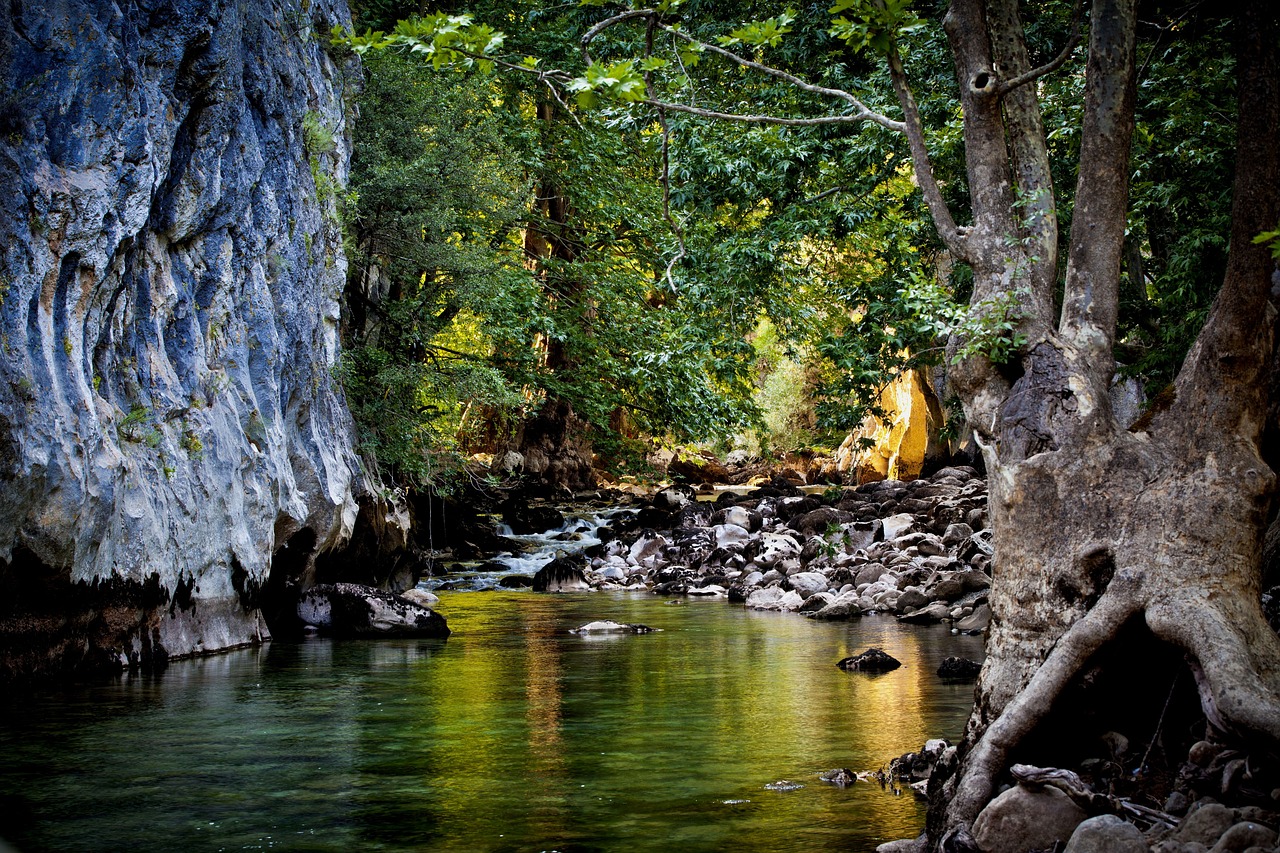 SaaSとは？わかりやすく解説する初心者向けガイド